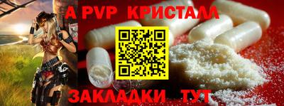 шишки Жуковский