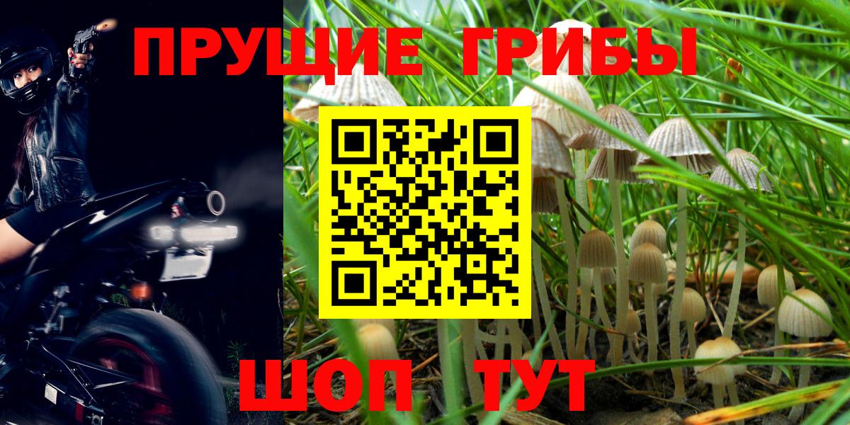 Псилоцибиновые грибы MAGIC MUSHROOMS  Галлюциногенные грибы MAGIC MUSHROOMS  Вход с VPN  Петропавловск-Камчатский 